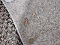 Пол багажника BW6IO7 Peugeot 406 - Фото 2