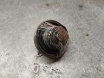 Крышка топливного бака H1MZ42 Mitsubishi Space Star - Фото 2