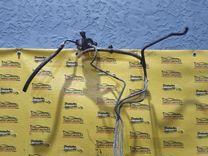 Трубка топливная CBKYP6 Mitsubishi Carisma купить с доставкой