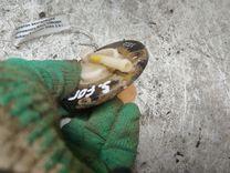 Клапан вентиляции топливного бака T06QBK Subaru Forester купить на авторазборке