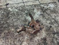 Кулак поворотный правый B538AD Opel Astra купить