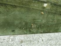 Стекло двери задней левой FEZJTS Citroen C3 купить в магазине запчастей бу