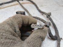 Проводка двери передней правой VS0OYY Volkswagen Passat - Фото 4