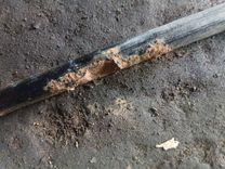 Стабилизатор подвески (поперечной устойчивости) задний YRWXF7 Peugeot 406 купить в магазине запчастей бу