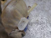 Бачок расширительный 253NFH Skoda Fabia - Фото 3