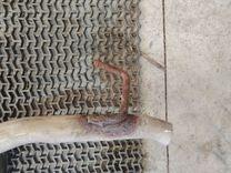 Глушитель NLV61I Nissan Micra - Фото 4