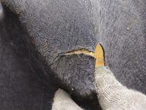 Обшивка багажника EOEEZE Citroen C3 купить в магазине запчастей бу