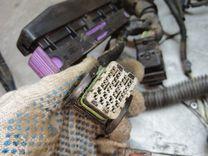 Проводка двигателя 392NLE Peugeot 406 купить на авторазборке