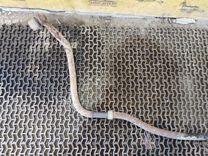 Стабилизатор подвески (поперечной устойчивости) задний D5OS6P Toyota Avensis - Фото 7