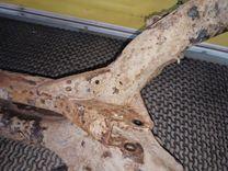 Балка подвески задняя E7YLUR Mazda 6 undefined