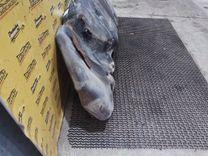 Бак топливный 2P0OW9 Peugeot 405 купить на авторазборке