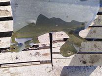 Защита арок передняя левая (подкрылок) FRV6V6 Renault Scenic - Фото 3