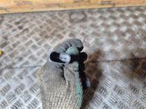 Датчик детонации 038Z8J Volkswagen Golf купить