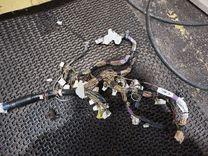 Проводка салона RKKO8I Toyota Yaris купить в магазине запчастей бу