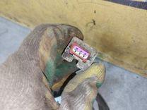 Проводка двигателя IU9H7L Peugeot 306 купить с доставкой. Огромный выбор запчастей и марок авто. У нас есть практически все.