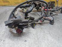Проводка двигателя 3GHR43 Ford Fiesta купить с доставкой