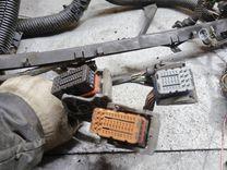 Проводка двигателя 8MR3JP Renault Laguna купить на авторазборке