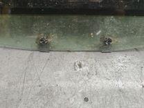 Стекло двери задней левой XEYWDH Audi A6 - Фото 8