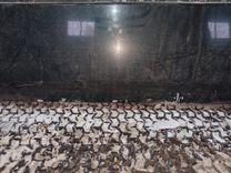 Дверь передняя левая C43982 Citroen Xantia купить в магазине запчастей бу