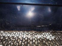 Дверь передняя правая TIFBWV Citroen Xantia купить с доставкой