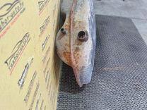 Бак топливный K8JDEN Mercedes A W168 - Фото 4