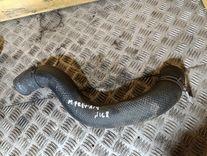 Патрубок интеркулера QLGZRT Mazda Premacy