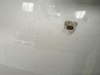 Капот T6P0RA Volvo S40 - Фото 3