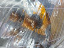 Поворотник левый 9X3XR4 Mazda Premacy купить с доставкой