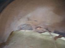 Крыло заднее левое D6MR84 Toyota Yaris - Фото 6