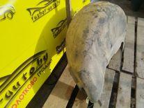 Защита арок задняя левая (подкрылок) I3E7WE Renault Scenic купить с доставкой