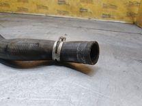 Патрубок радиатора YF2JWP Citroen Xsara Picasso купить с доставкой