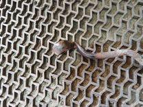 Трубка гидроусилителя FU4KEK Seat Toledo - Фото 5