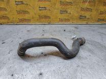 Патрубок радиатора NO4VZF Peugeot 406 - Фото 3