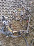 Проводка двигателя EV1DVS Peugeot 406 undefined