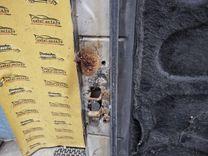 Капот W1HXED Daewoo Leganza купить с доставкой. Огромный выбор запчастей и марок авто. У нас есть практически все.