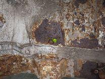 Крыло заднее левое DYNUNS Peugeot 307 - Фото 5