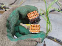 Проводка салона 8FQQD1 Citroen C4 - Фото 23