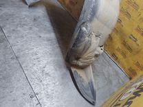 Защита арок задняя левая (подкрылок) ZNDRV3 Renault Espace - Фото 2