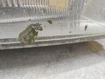 Фара правая XA8M05 Audi A4 купить