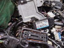 Проводка X2MN11 Mitsubishi Grandis купить с доставкой. Огромный выбор запчастей и марок авто. У нас есть практически все.