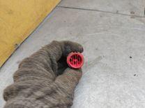 Проводка VTOBVZ Volkswagen Passat - Фото 5