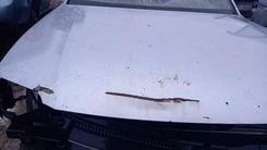 Капот S85TE6 Volkswagen Passat - Фото 3