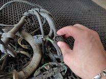 Проводка D7ERN3 Ford Focus undefined