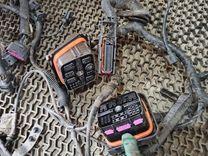 Проводка TV2Y2R Volkswagen Polo купить с доставкой