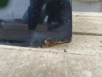 Дверь передняя левая WCIYTP Opel Meriva купить на авторазборке