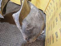 Защита арок передняя правая (подкрылок) MOLUC6 Fiat Palio купить с доставкой