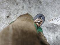 Выключатель концевой (концевик) FU3O15 Subaru Forester купить с доставкой