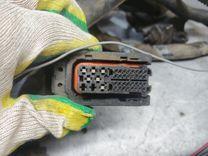 Проводка двигателя 2W1XPT Citroen Jumper купить с доставкой