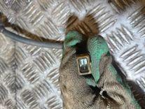 Датчик детонации PS06O7 Hyundai Matrix купить с доставкой