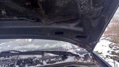 Петля капота ZM419V Mitsubishi Carisma купить